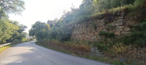 Terreno en Baiao, Portugal 8187 m² No. 83737 23