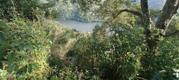 Terreno en Baiao, Portugal 8187 m² No. 83737 19