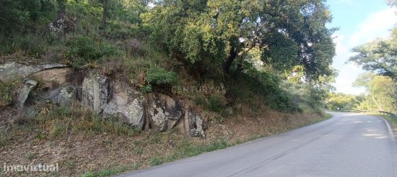 Terreno en Baiao, Portugal 8187 m² No. 83737 13