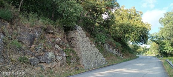 Terreno en Baiao, Portugal 8187 m² No. 83737 8