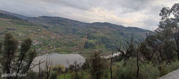 Terreno en Baiao, Portugal 8187 m² No. 83737 39