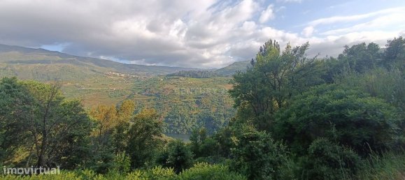 Terreno en Baiao, Portugal 8187 m² No. 83737 17