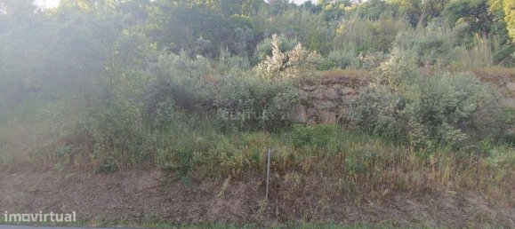 Terreno en Baiao, Portugal 8187 m² No. 83737 30