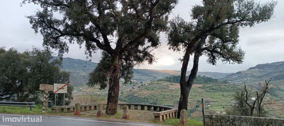 Terreno en Baiao, Portugal 8187 m² No. 83737 37