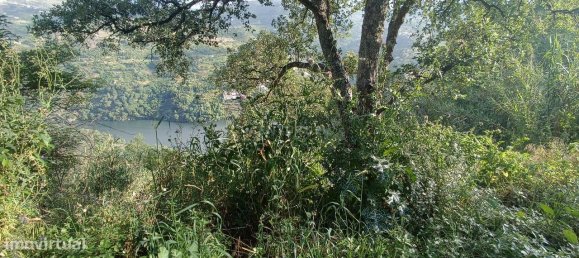 Terreno en Baiao, Portugal 8187 m² No. 83737 31