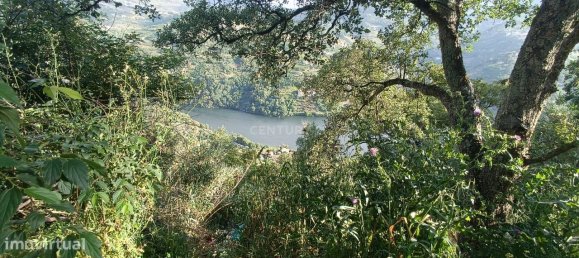 Terreno en Baiao, Portugal 8187 m² No. 83737 2