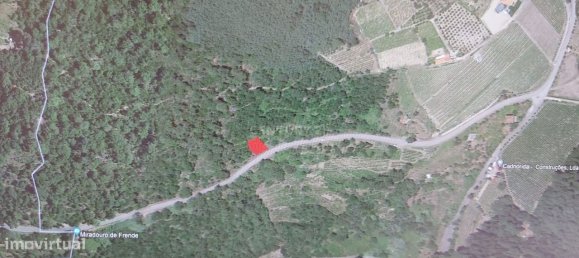 Terreno en Baiao, Portugal 8187 m² No. 83737 33