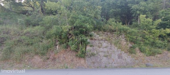 Terreno en Baiao, Portugal 8187 m² No. 83737 9