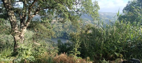 Terreno en Baiao, Portugal 8187 m² No. 83737 28