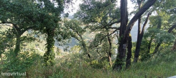 Terreno en Baiao, Portugal 8187 m² No. 83737 4