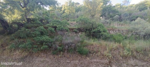 Terreno en Baiao, Portugal 8187 m² No. 83737 25