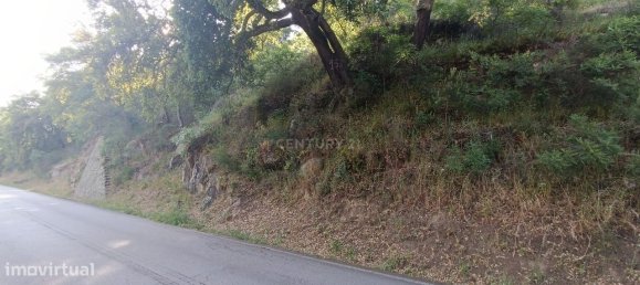 Terreno en Baiao, Portugal 8187 m² No. 83737 29