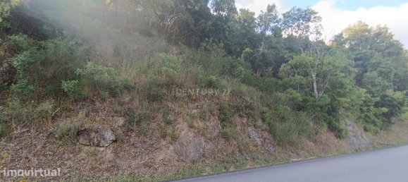 Terreno en Baiao, Portugal 8187 m² No. 83737 21