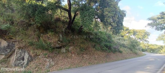 Terreno en Baiao, Portugal 8187 m² No. 83737 15