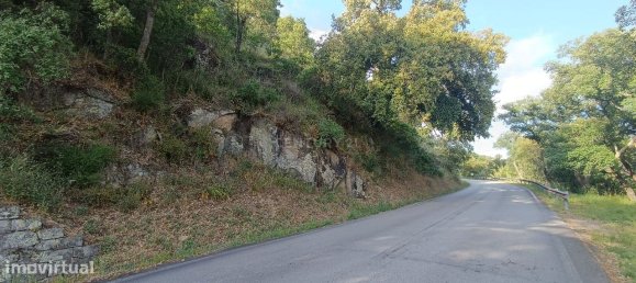 Terreno en Baiao, Portugal 8187 m² No. 83737 14