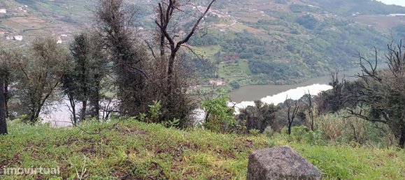 Terreno en Baiao, Portugal 8187 m² No. 83737 40