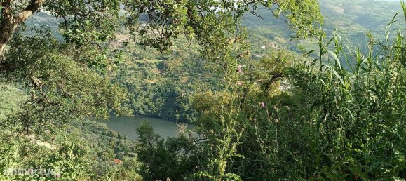 Terreno en Baiao, Portugal 8187 m² No. 83737 18