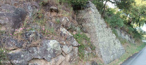 Terreno en Baiao, Portugal 8187 m² No. 83737 10