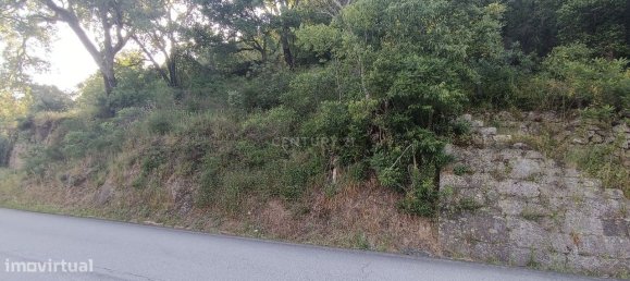 Terreno en Baiao, Portugal 8187 m² No. 83737 26