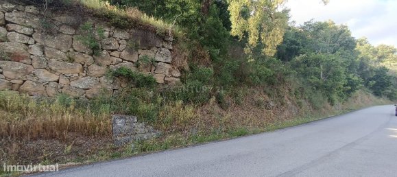 Terreno en Baiao, Portugal 8187 m² No. 83737 16