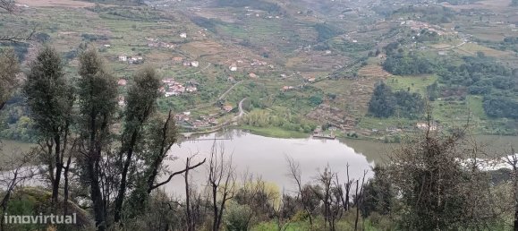 Terreno en Baiao, Portugal 8187 m² No. 83737 35