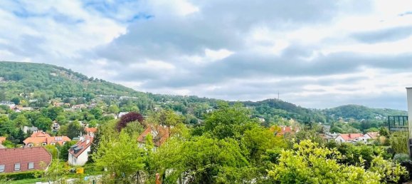 4غرفة بانتهاوس في Hinterbruhl, Austria رقم 205298 3