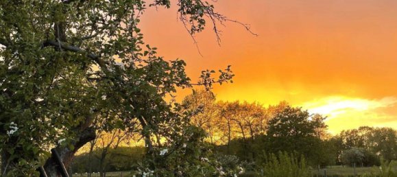 4 bedrooms Villa in Borde, Germany No. 269054 7