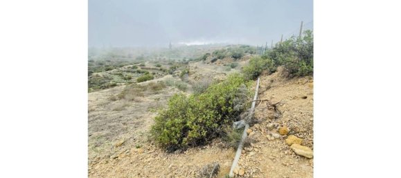 Terrain à Fasnia, Spain 5778m² No. 135862 29