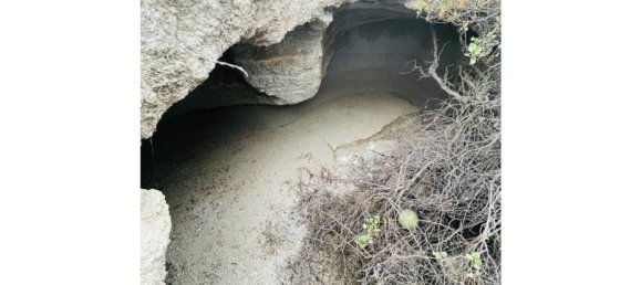 Terrain à Fasnia, Spain 5778m² No. 135862 38