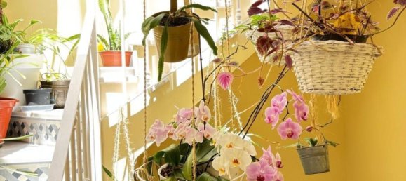 3 bedrooms House in Cadiz, Spain No. 148613 6