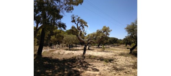 17948m² Land in Almancil, Portugal No. 145349 27