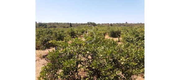17948m² Land in Almancil, Portugal No. 145349 16