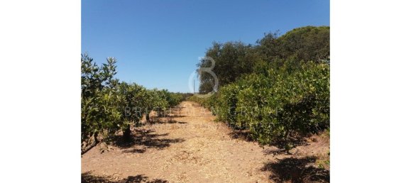 17948m² Land in Almancil, Portugal No. 145349 19
