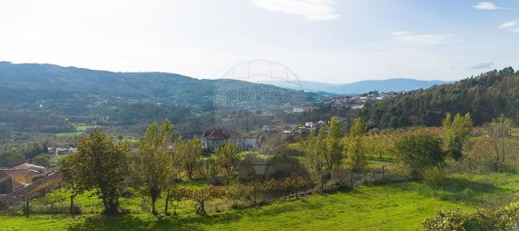 4 bedrooms House in Baiao, Portugal No. 188039 22