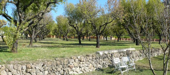 5 Schlafzimmer Villa in Pedreguer, Spain, Nr. 8413 3