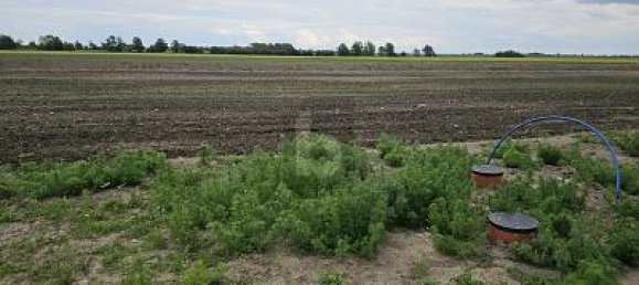 890m² Land in Ostholstein, Germany No. 225173 3