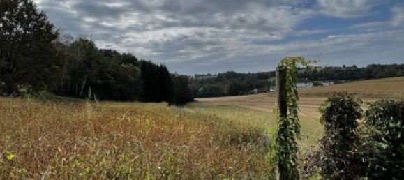 5-Zimmer Haus in Litzelsdorf, Austria, Nr. 178896 14