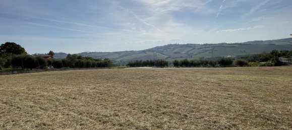 Grundstück in Montegranaro, Italy 4000m², Nr. 65332 16