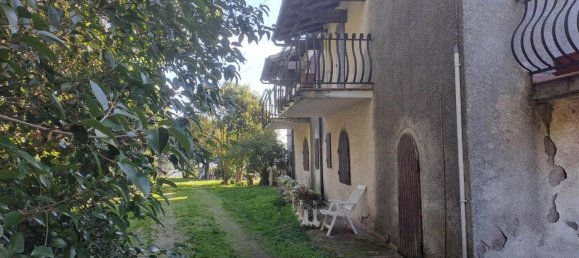 6-Zimmer Wohnung in Scansano, Italy, Nr. 32289 5