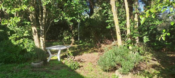 6-Zimmer Wohnung in Scansano, Italy, Nr. 32289 6