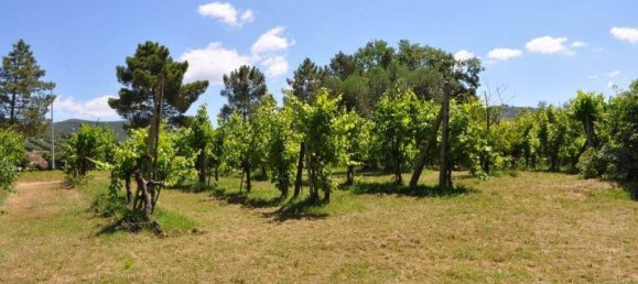 5 rooms House in Panicale, Italy No. 118593 13