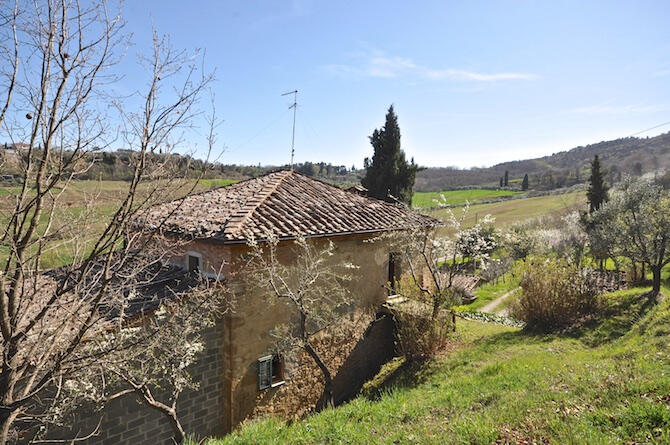 6 Schlafzimmer Haus in Montepulciano, Italy, Nr. 56408