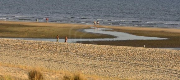 Terrain à Vila Nova de Cacela, Portugal 118050m² No. 154406 48