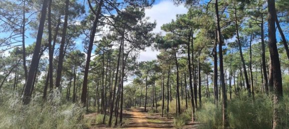 Terrain à Vila Nova de Cacela, Portugal 118050m² No. 154406 40