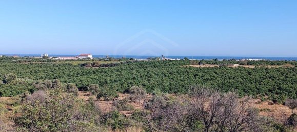 Terrain à Vila Nova de Cacela, Portugal 118050m² No. 154406 6