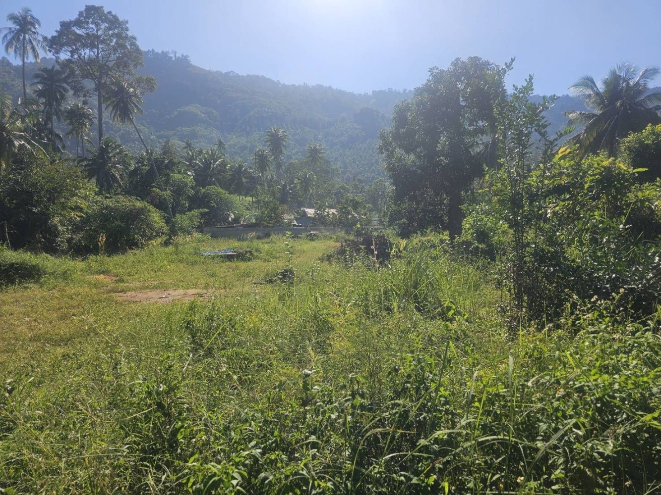 Земельный участок 4608м² в Самуй, Таиланд № 74367