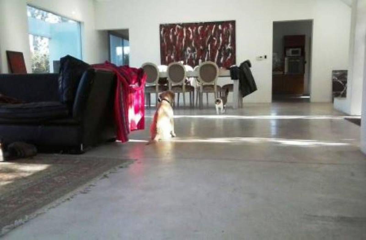 3 bedrooms House in Escobar, Argentina No. 63151