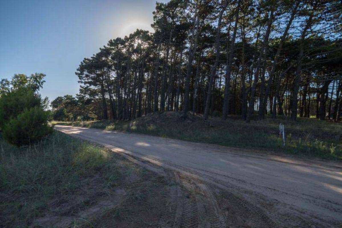  Land in Mar del Plata, Argentina No. 120428