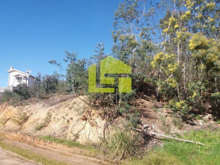 Земельный участок 3000м² в Коимбра, Португалия № 71002