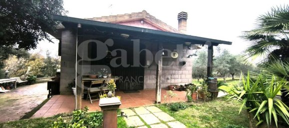 قطعة أرض في Scarlino, Italy 17000متر مربع رقم 210631 17